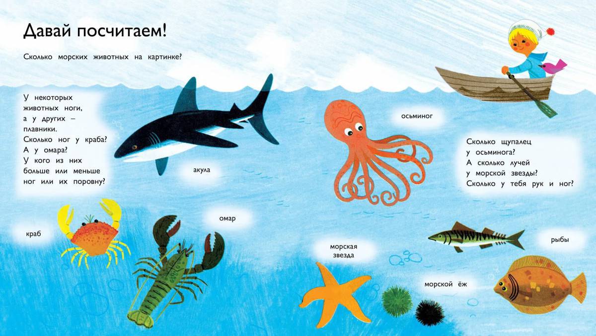 Морские обитатели морей и океанов для детей #25