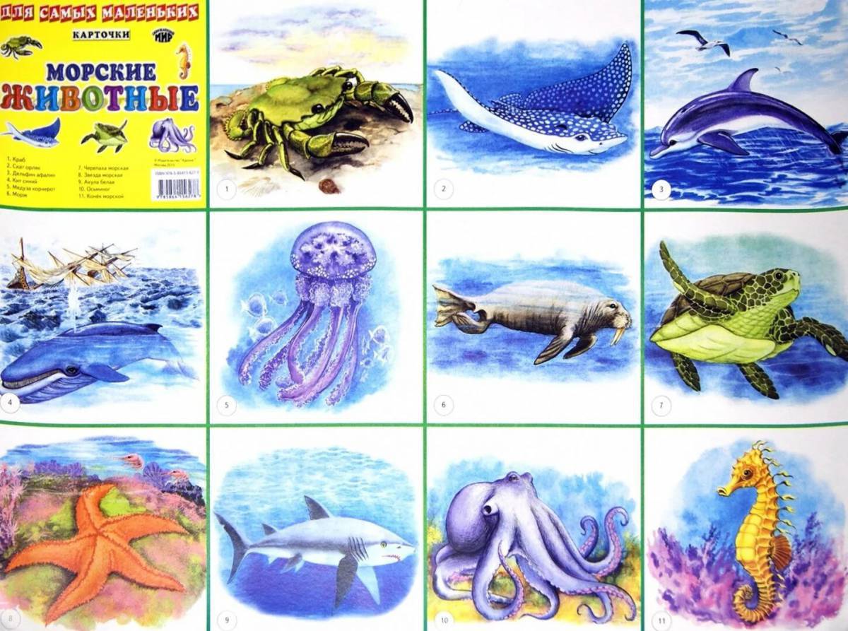 Картинки для срисовки морские обитатели (38 фото)