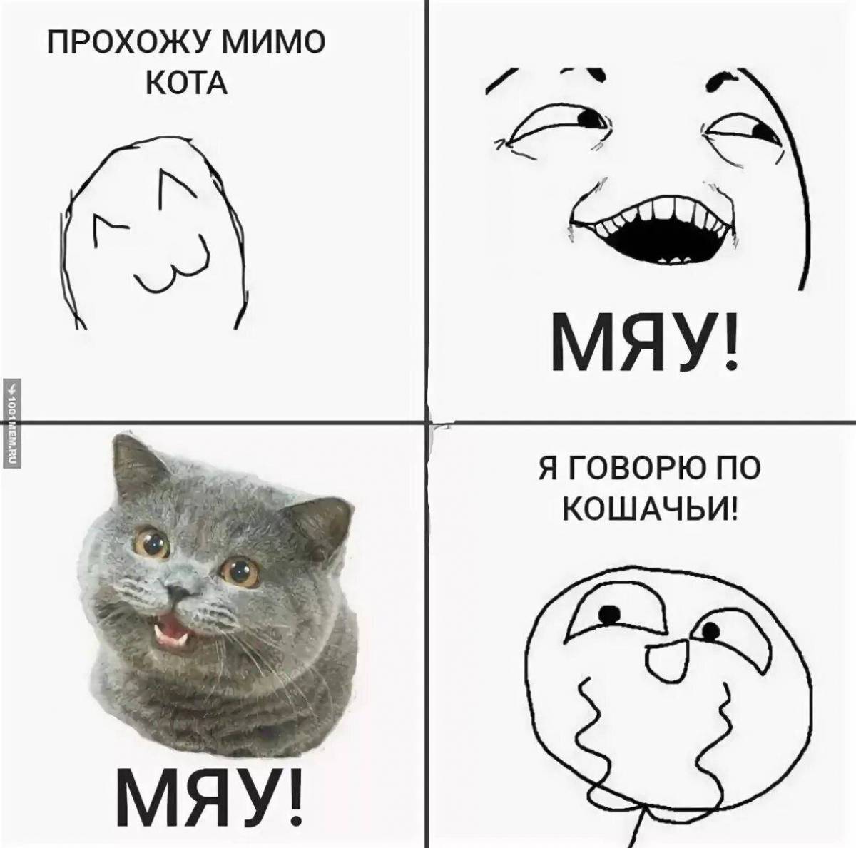 Картинки Котов Мяу