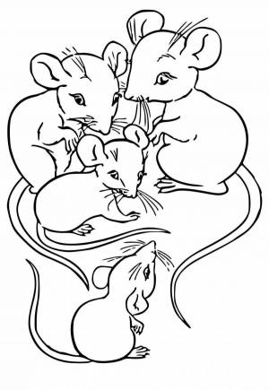 Раскраска мышка для детей 2 3 лет #24 #409084
