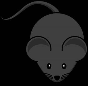 Раскраска мышка картинка для детей #18 #409191