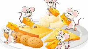 Раскраска мышка с сыром #9 #409291