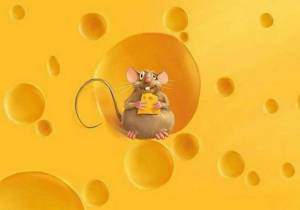 Раскраска мышка с сыром #23 #409305