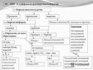 Раскраска н и нн в словах разных частей речи #36 #410164