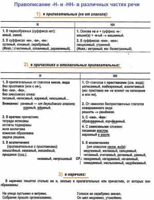 Раскраска н и нн в словах разных частей речи #37 #410165