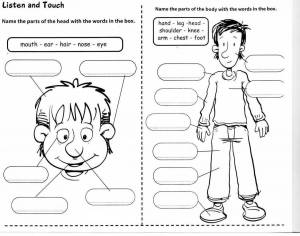 Раскраска на английском для детей с заданиями #4 #410509