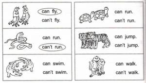 Раскраска на английском для детей с заданиями #5 #410510