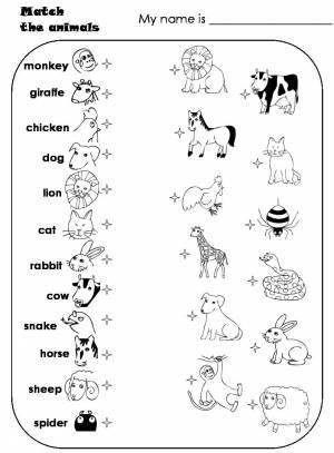 Раскраска на английском для детей с заданиями #33 #410538