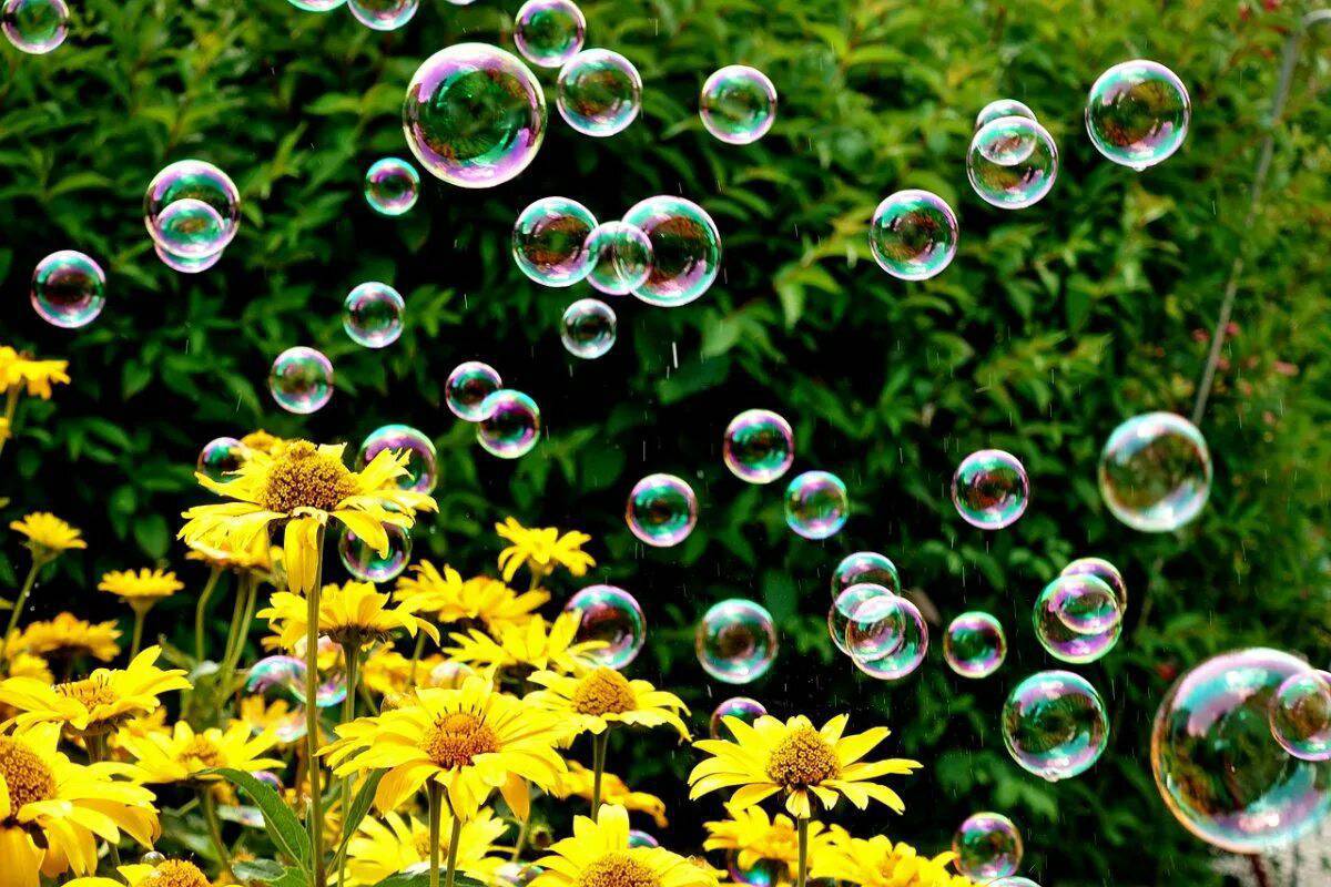 Мыльные пузыри #5