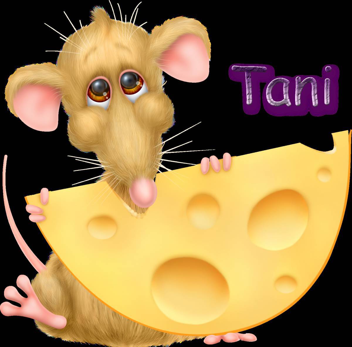 Мышка с сыром #16