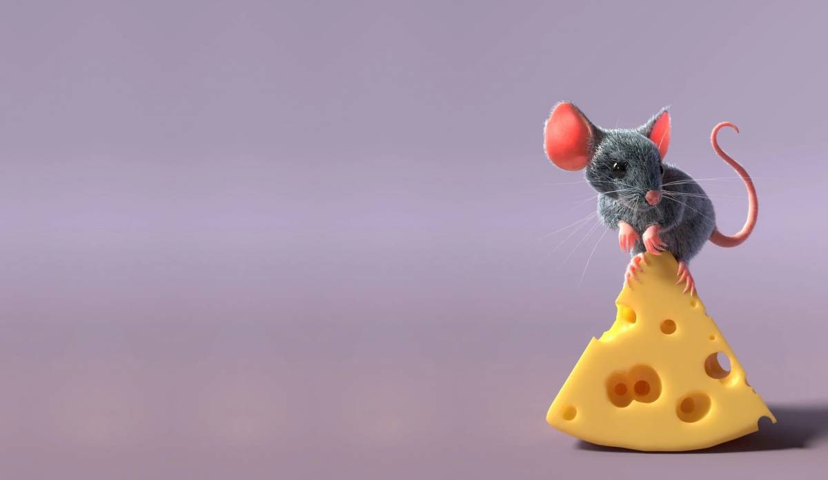 Мышка с сыром #31