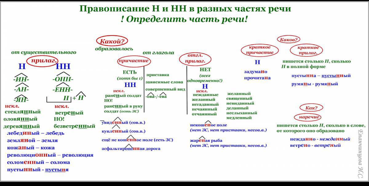 Н и нн в словах разных частей речи лошадь #24