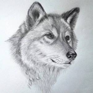 Раскраска нарисовать #23 #415865
