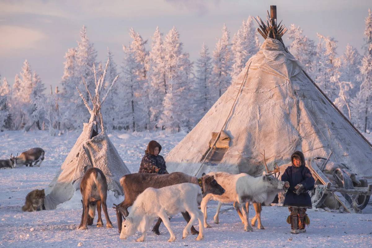 Северный человек картинка