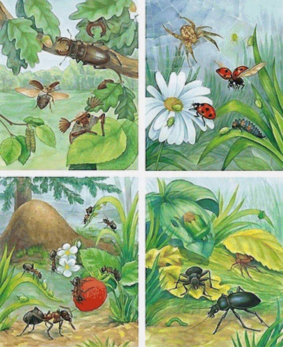 Тема в саду насекомые. Картина с. к. Артюшенко «насекомые и пауки» Нищева. Картина насекомые Нищева. Мир насекомых для дошкольников. Насекомые летом для дошкольников.