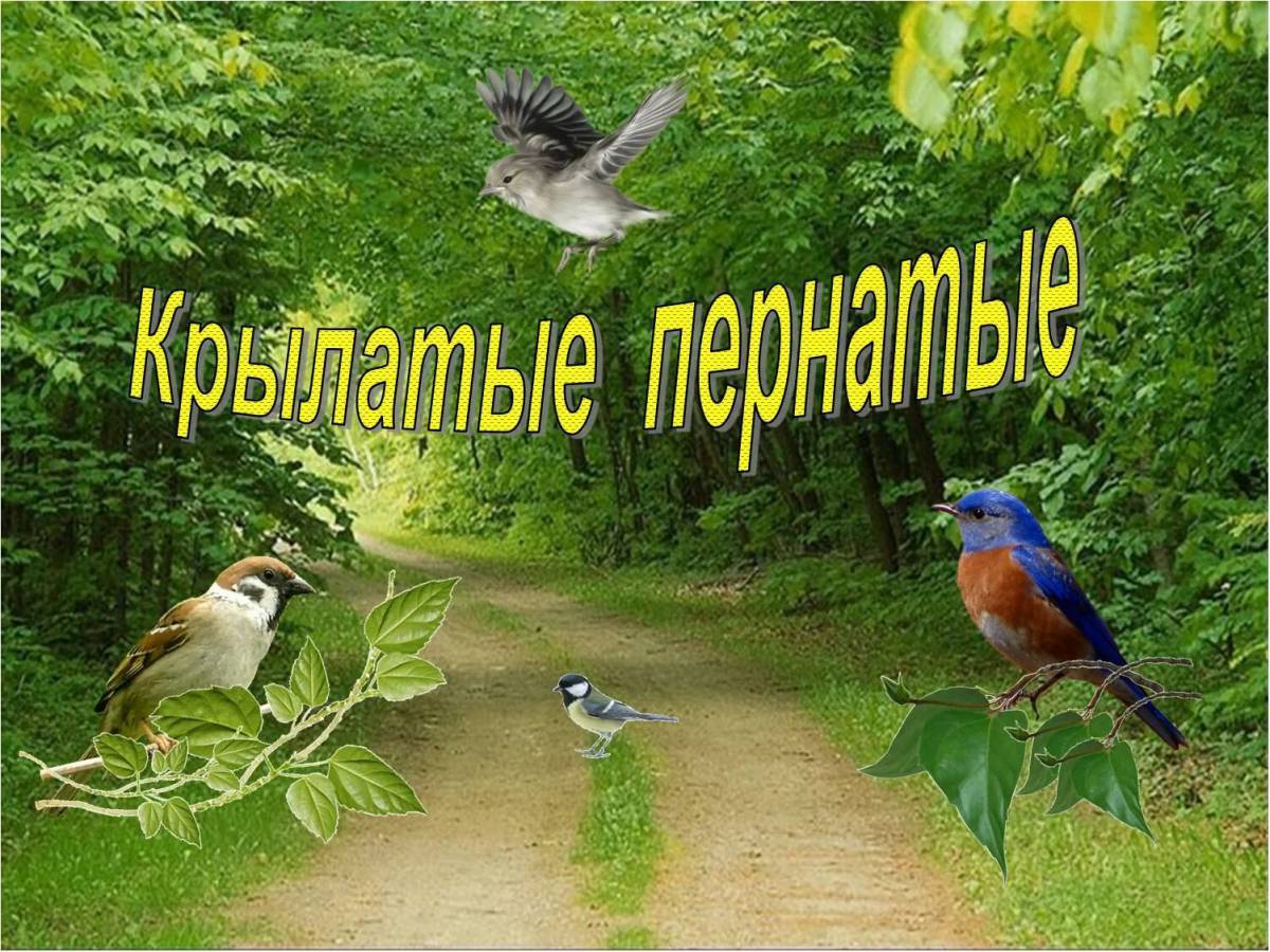 Picture background