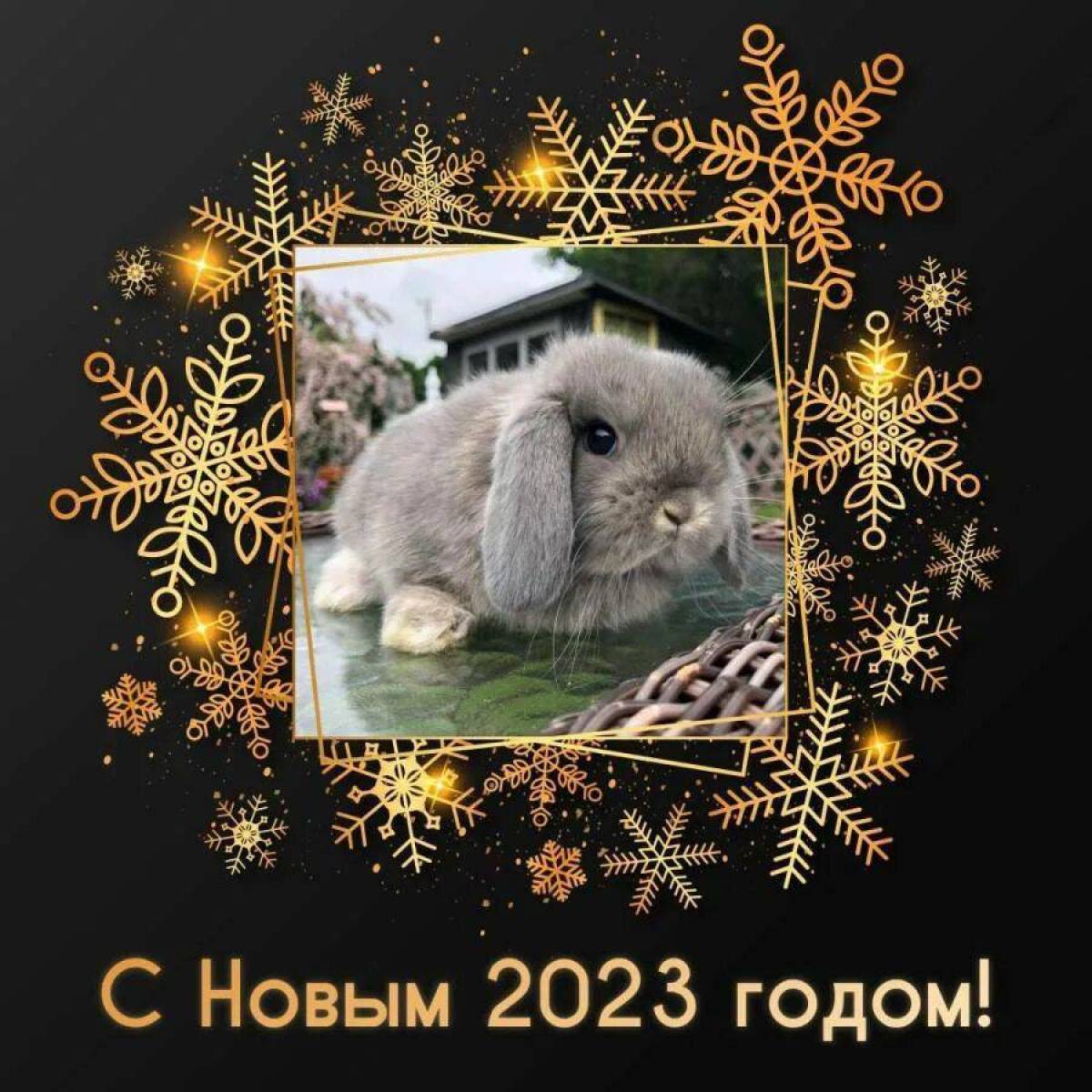 2023 поздравление открытка. Открытки с наступающим новым годом. С новым годом 2023. Открытки к наступающему новому году. С наступлением новым годом кролика.