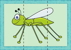 Раскраска насекомые для детей 3 4 лет #1 #416834