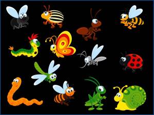 Раскраска насекомые для детей 3 4 лет #3 #416836