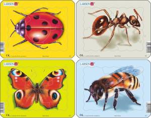 Раскраска насекомые для детей 3 4 лет #17 #416850