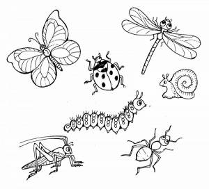 Раскраска насекомые для детей 3 4 лет #26 #416859