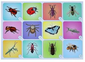 Раскраска насекомые для детей 3 4 лет #32 #416865