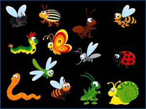 Раскраска насекомые для детей 4 5 лет #12 #416884