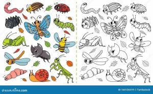 Раскраска насекомые для детей 4 5 лет #16 #416888