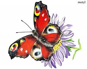 Раскраска насекомые для детей 4 5 лет #28 #416900