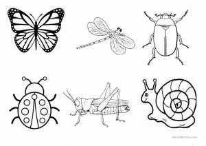 Раскраска насекомые для детей 4 5 лет #29 #416901