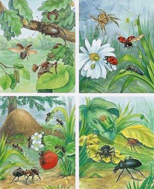 Раскраска насекомые для детей 4 5 лет #33 #416905