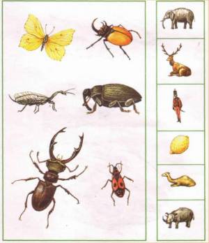 Раскраска насекомые для детей 6 7 лет #8 #416919