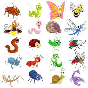 Раскраска насекомые для детей 6 7 лет #12 #416923