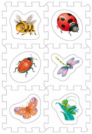 Раскраска насекомые для детей 6 7 лет #16 #416927