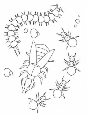 Раскраска насекомые для детей 6 7 лет #18 #416929