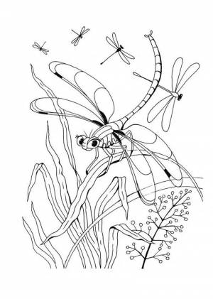 Раскраска насекомые для детей 6 7 лет #19 #416930