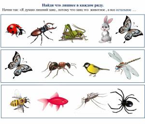 Раскраска насекомые для детей 6 7 лет #20 #416931