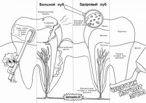 Раскраска научные чевостика #25 #417489