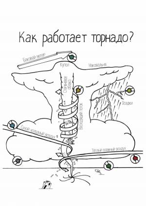 Раскраска научные чевостика #26 #417490