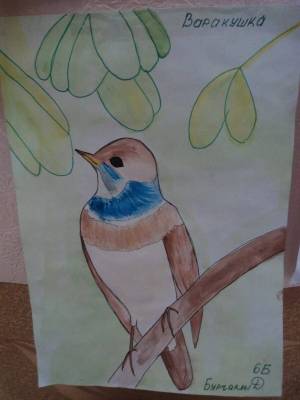 Раскраска наши друзья птицы #3 #417835