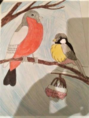Раскраска наши друзья птицы #8 #417840