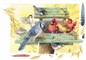 Раскраска наши друзья птицы #24 #417856