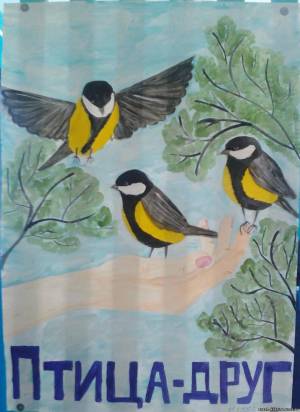 Раскраска наши друзья птицы #34 #417866