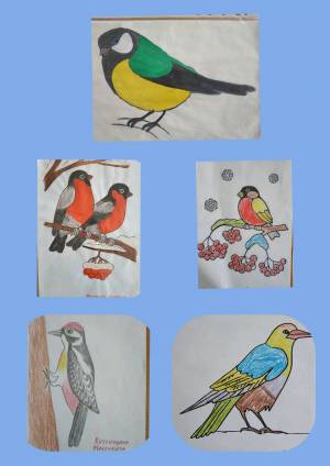 Раскраска наши друзья птицы #36 #417868