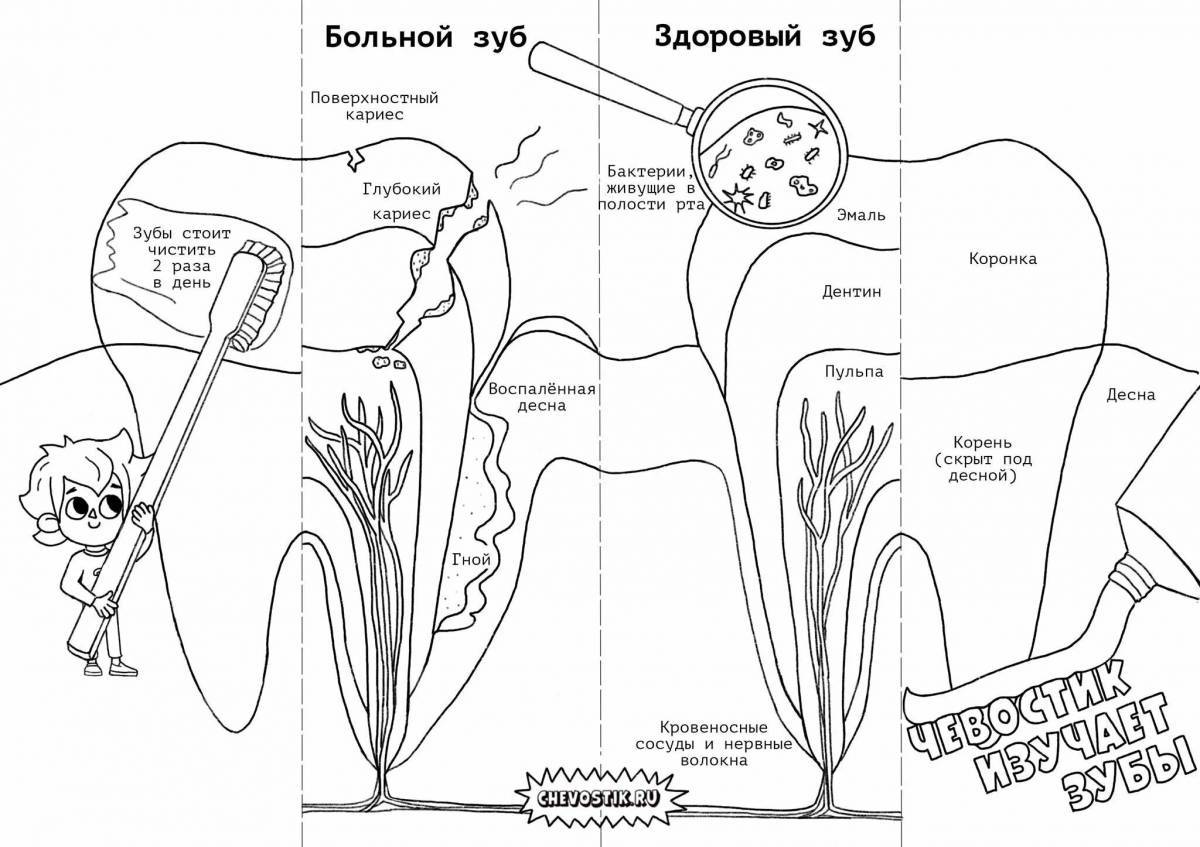 Научные чевостика #25