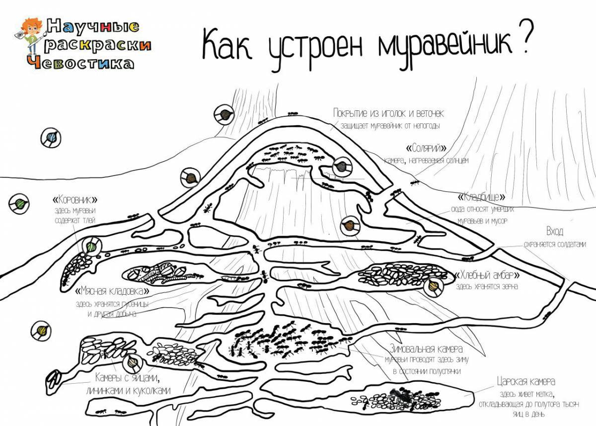 Научные чевостика #31