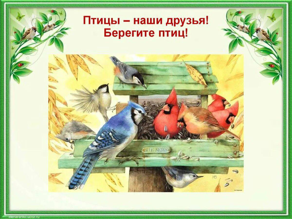 Птицы наши друзья классный час. Маржолин Бастин. Птицы наши друзья. Пчитчы нашы друзя. Берегите птиц для детей.