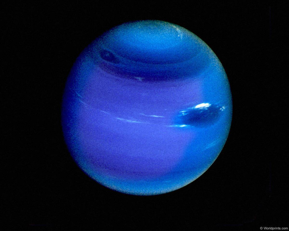 Нептун #13