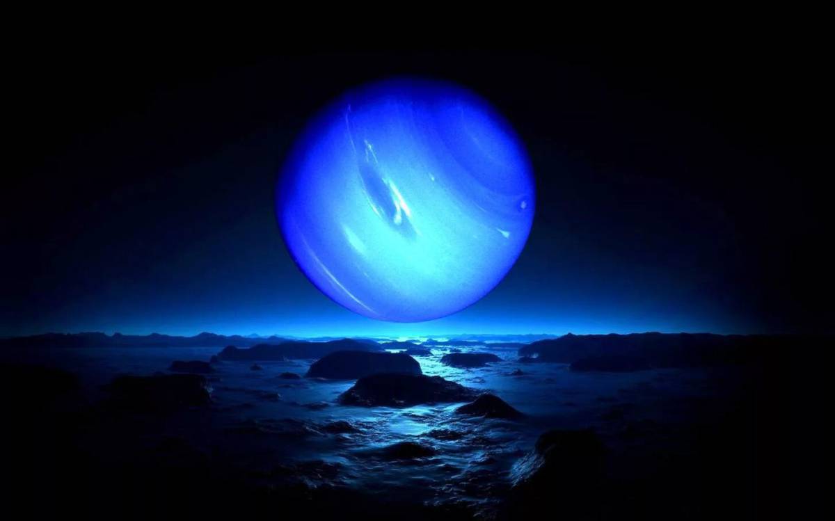 Нептун #24