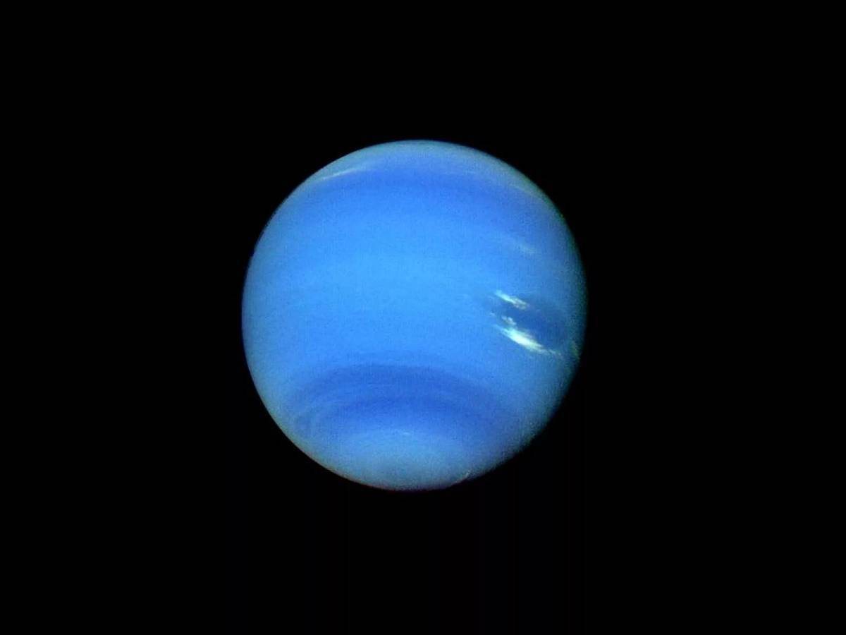 Нептун #33
